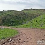 Property photo for land for sale in Larimer County Colorado