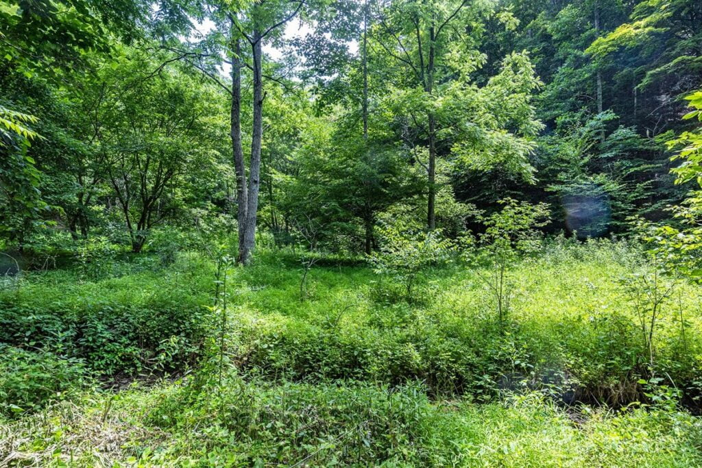 Property photo for land for sale in Washington County Virginia