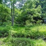 Property photo for land for sale in Washington County Virginia