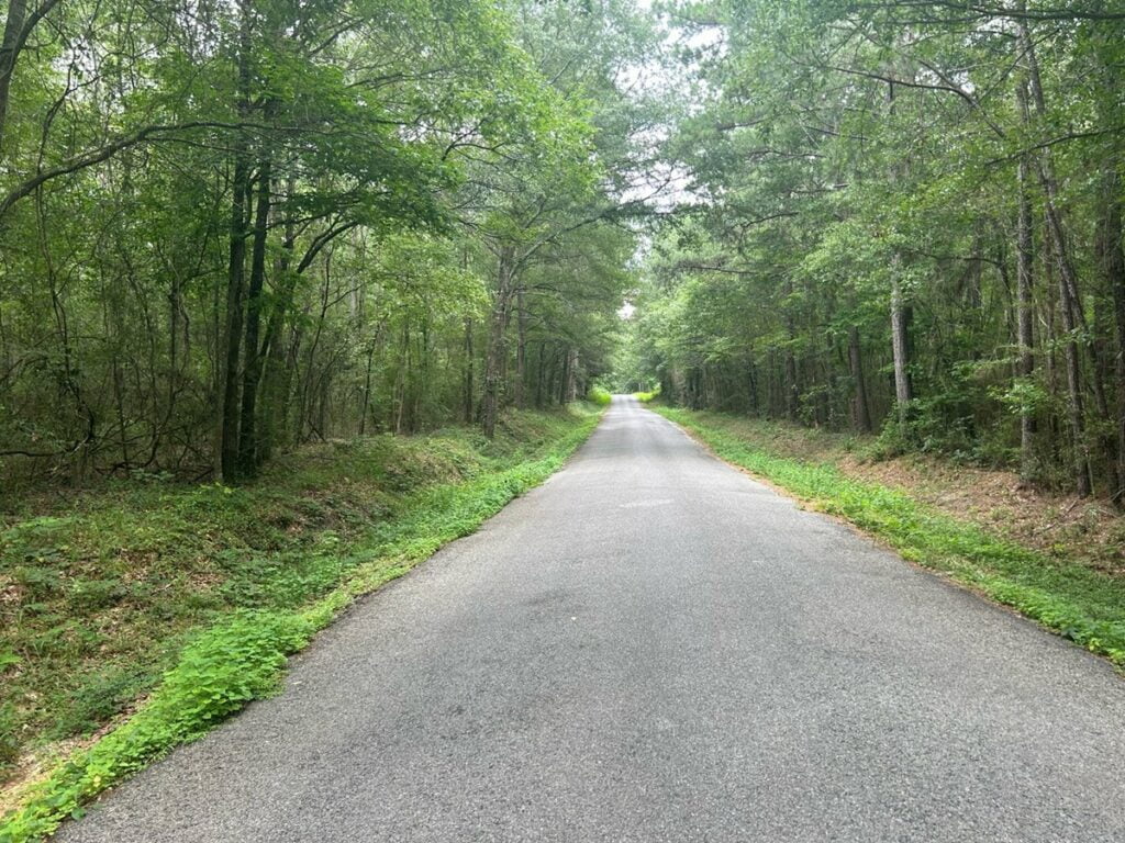 Property photo for land for sale in Covington County Mississippi