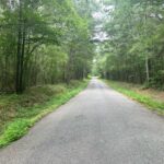 Property photo for land for sale in Covington County Mississippi