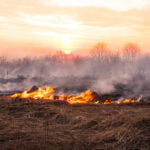 Protect Your Land from Wildfires