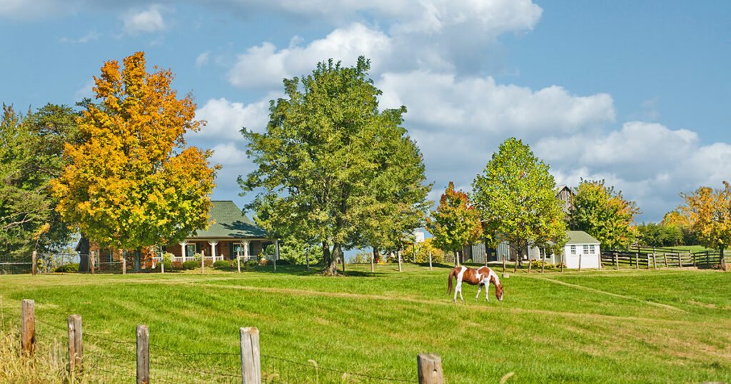 Tips for Buying and Selling a Home in the Country Posted by UC Social on December 16, 2020 General News 0