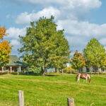 Tips for Buying and Selling a Home in the Country Posted by UC Social on December 16, 2020 General News 0