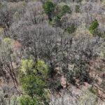 Property photo for land for sale in Mecklenburg County Virginia