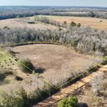 Property photo for land for sale in Geneva County Alabama