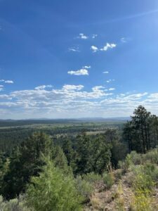 Property photo for land for sale in Rio Arriba County New Mexico