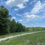 Property photo for land for sale in Searcy County Arkansas