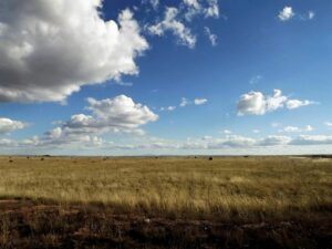 Property photo for land for sale in Torrance County New Mexico