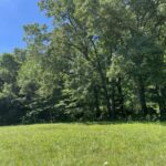 Property photo for land for sale in Boone County Arkansas