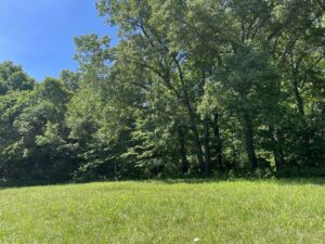 Property photo for land for sale in Boone County Arkansas