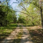 Property photo for land for sale in Maries County Missouri