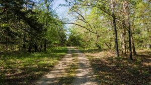 Property photo for land for sale in Maries County Missouri