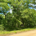 Property photo for land for sale in Hamilton County Florida