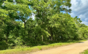 Property photo for land for sale in Hamilton County Florida