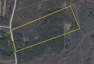 Property photo for land for sale in Kershaw County South Carolina