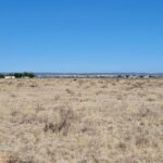 Property photo for land for sale in Torrance County New Mexico