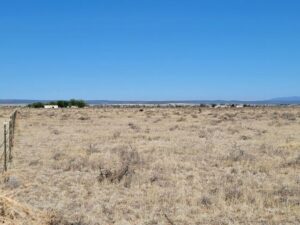 Property photo for land for sale in Torrance County New Mexico