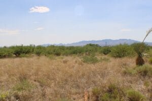 Property photo for land for sale in Cochise County Arizona