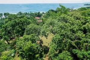 Property photo for land for sale in  County Panama