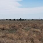 Property photo for land for sale in Torrance County New Mexico