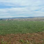 Property photo for land for sale in Montezuma County Colorado