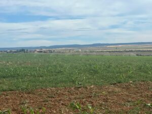 Property photo for land for sale in Montezuma County Colorado