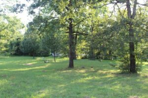 Property photo for land for sale in Marion County Missouri