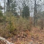 Property photo for land for sale in Taney County Missouri