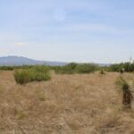 Property photo for land for sale in Cochise County Arizona