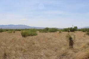 Property photo for land for sale in Cochise County Arizona