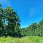 Property photo for land for sale in Camden County Missouri