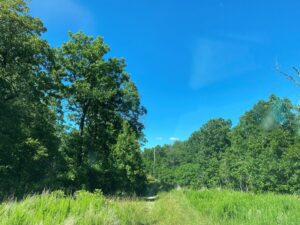 Property photo for land for sale in Camden County Missouri