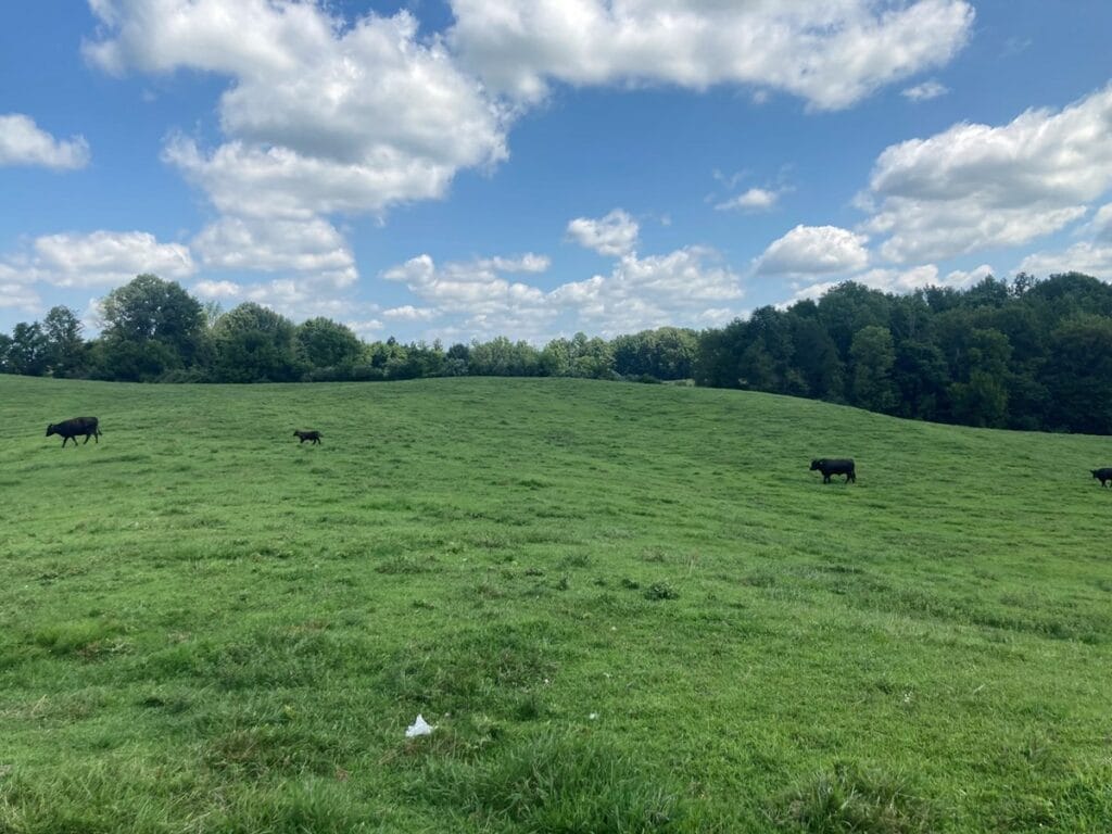 Property photo for land for sale in Barren County Kentucky