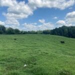 Property photo for land for sale in Barren County Kentucky