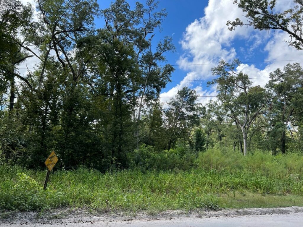 Property photo for land for sale in Dixie County Florida