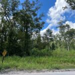 Property photo for land for sale in Dixie County Florida