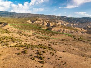 Property photo for land for sale in Delta County Colorado