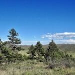 Property photo for land for sale in Larimer County Colorado