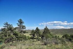 Property photo for land for sale in Larimer County Colorado