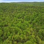 Property photo for land for sale in Ozark County Missouri