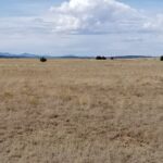 Property photo for land for sale in Torrance County New Mexico