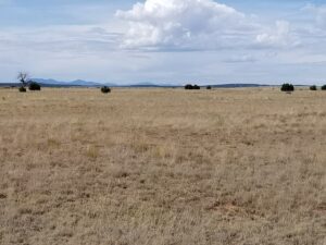 Property photo for land for sale in Torrance County New Mexico