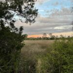 Property photo for land for sale in Dixie County Florida