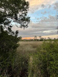 Property photo for land for sale in Dixie County Florida