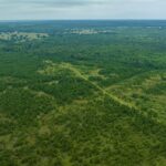 Property photo for land for sale in McCurtain County Oklahoma