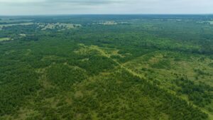 Property photo for land for sale in McCurtain County Oklahoma