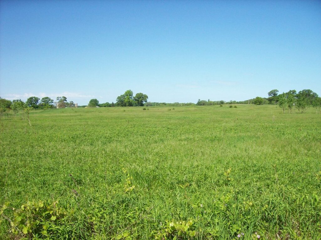 Property photo for land for sale in Marquette County Wisconsin