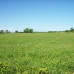 Property photo for land for sale in Marquette County Wisconsin