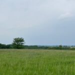 Property photo for land for sale in Daviess County Missouri